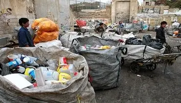 درآمد نجومی مافیای تفکیک پسماند در تهران!