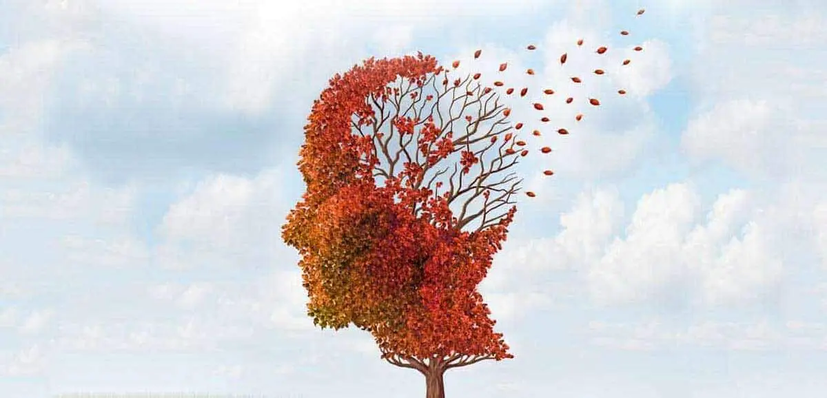 اگر این ۳ نکته را رعایت کنید، زوال عقل به سراغتان نمی‌آید