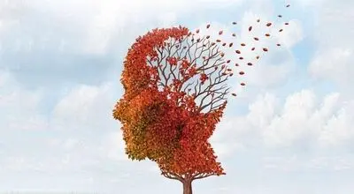 اگر این ۳ نکته را رعایت کنید، زوال عقل به سراغتان نمی‌آید