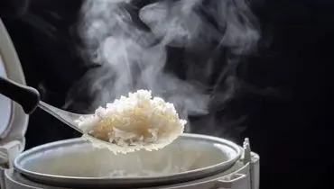  چرا بعضی برنج ها بعد از پخت خشک می شوند؟