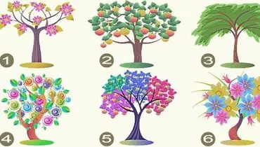 یک درخت انتخاب کنید و پنهان ترین ویژگی های شخصیتی خود را کشف کنید+ تصاویر