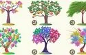یک درخت انتخاب کنید و پنهان ترین ویژگی های شخصیتی خود را کشف کنید+ تصاویر