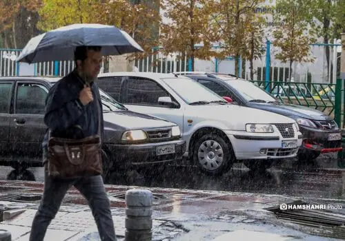 گنجینه سکه‌های رومی زیر پای یک رهگذر در جنگل