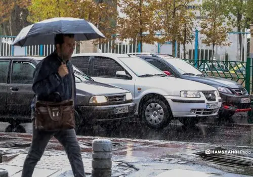 گنجینه سکه‌های رومی زیر پای یک رهگذر در جنگل
