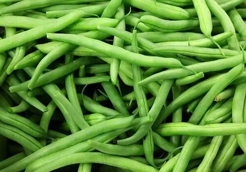 طرز تهیه سالاد ژیگانو