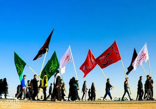 هشدار؛ پشه آئدس از نوع اجیپتی به ایران آمد