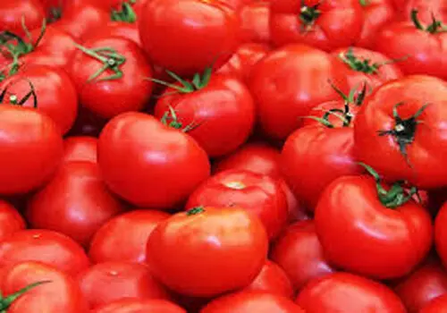 فواید و مضرات گوجه فرنگی
