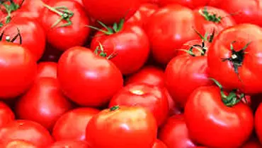 نوسان شدید قیمت گوجه‌فرنگی/بازار میوه دلاری شد
