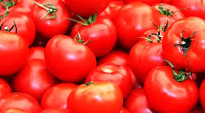 نوسان شدید قیمت گوجه‌فرنگی/بازار میوه دلاری شد
