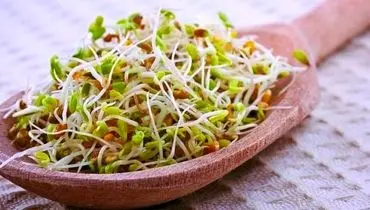 جوانه‌ای که زمان رو متوقف می‌کند! راز ویتامین جوانی فاش شد