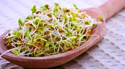 جوانه‌ای که زمان رو متوقف می‌کند! راز ویتامین جوانی فاش شد