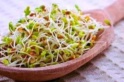 جوانه‌ای که زمان رو متوقف می‌کند! راز ویتامین جوانی فاش شد