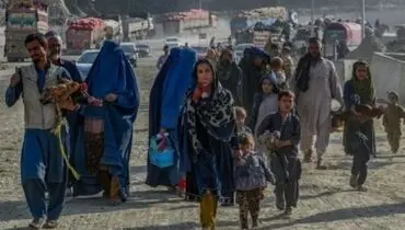 ایران برای تمام کارگران افغان تعیین تکلیف کرد
