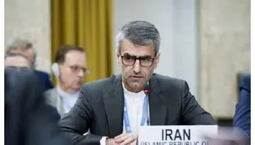 سخنگوی جدید وزارت امور خارجه منصوب شد