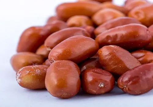  چگونه میوه ها را خشک کنیم؟

