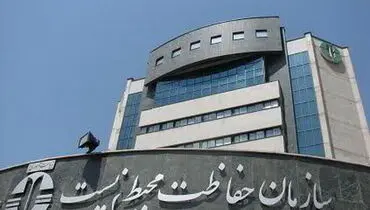 زنده‌گیری این گونه بسیار نادر کرکس در ایران خبرساز شد + عکس