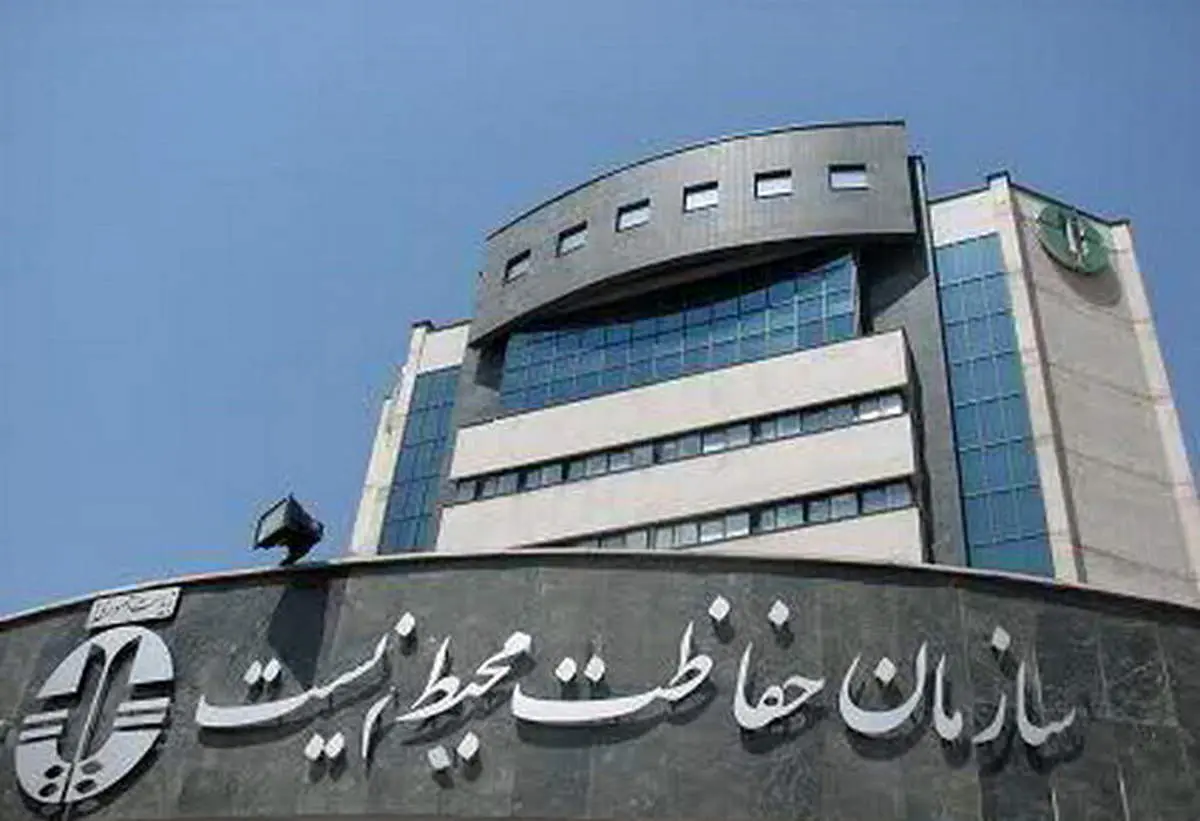 زنده‌گیری این گونه بسیار نادر کرکس در ایران خبرساز شد + عکس