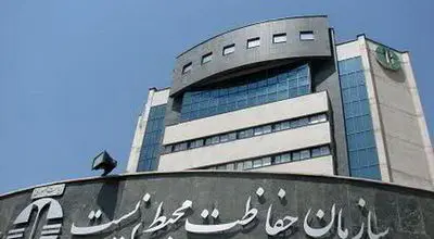 زنده‌گیری این گونه بسیار نادر کرکس در ایران خبرساز شد + عکس