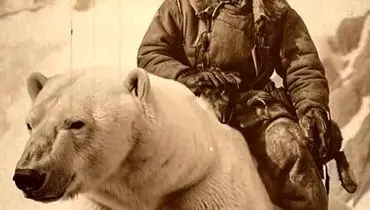 این شکارچیان، خرس های قطبی را مثل اسب رام کردند+ فیلم