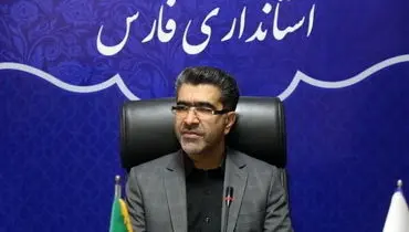 معاون امنیتی استانداری فارس: برای دستگیری سارق تیر هوایی شلیک شد