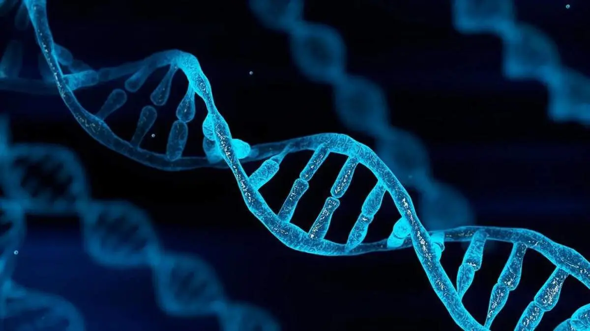 معنی DNA چیست به زبان ساده؛ مخفف و کاربردهای دی ان ای در زندگی واقعی