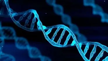 معنی DNA چیست به زبان ساده؛ مخفف و کاربردهای دی ان ای در زندگی واقعی