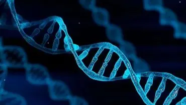 معنی DNA چیست به زبان ساده؛ مخفف و کاربردهای دی ان ای در زندگی واقعی