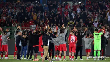 طعنه تند هافبک پرسپولیس به کمیته انضباطی در فضای مجازی