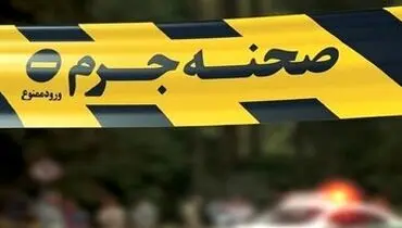 اختلافات خانوادگی منجر به قتل پدر شد