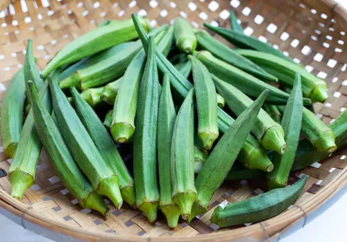 طرز تهیه بامیه ماه رمضان ترد و پوک + فیلم