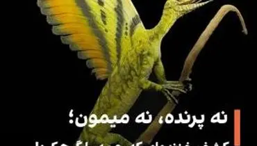 کشف یک خزنده عجیب ۲۴۷ میلیون ساله با ویژگی‌های ترکیبی پرندگان، میمون‌ها و دایناسورها

