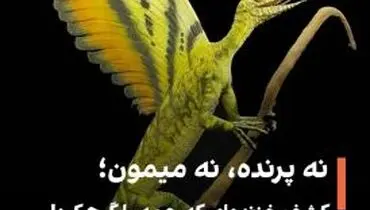 کشف یک خزنده عجیب ۲۴۷ میلیون ساله با ویژگی‌های ترکیبی پرندگان، میمون‌ها و دایناسورها

