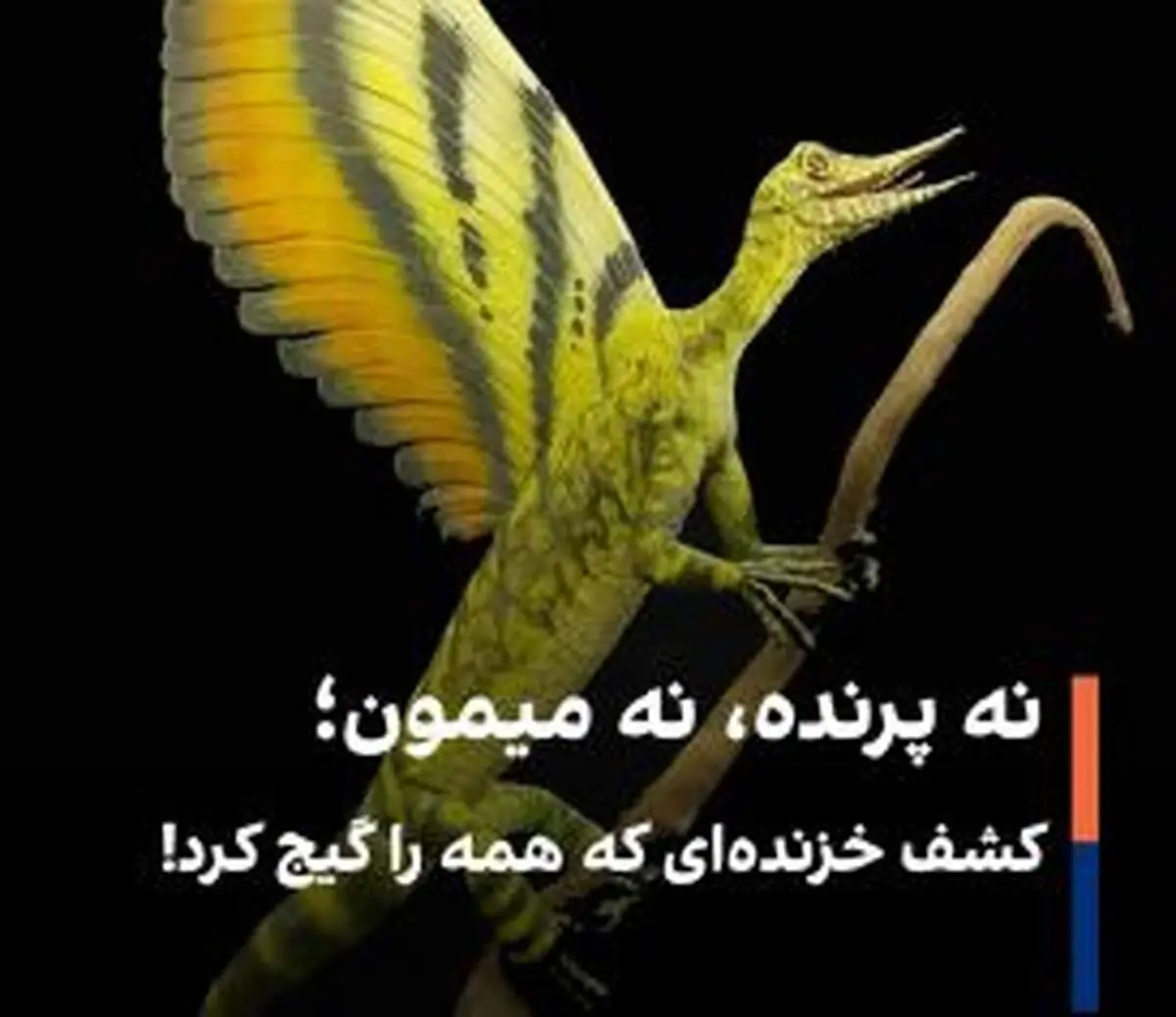 کشف یک خزنده عجیب ۲۴۷ میلیون ساله با ویژگی‌های ترکیبی پرندگان، میمون‌ها و دایناسورها

