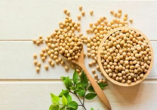 علت سفید شدن گوشت برخی مرغ‌ها 