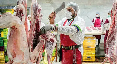 قیمت واقعی گوشت قرمز درتاریخ ۸بهمن ۱۴۰۴ چقدراست؟