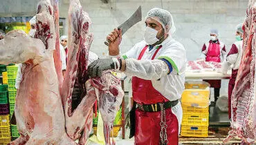 قیمت واقعی گوشت قرمز درتاریخ ۸بهمن ۱۴۰۴ چقدراست؟