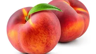 ویدئویی عجیب از فسیل هلوی غول پیکر در این مکان باستانی+ فیلم