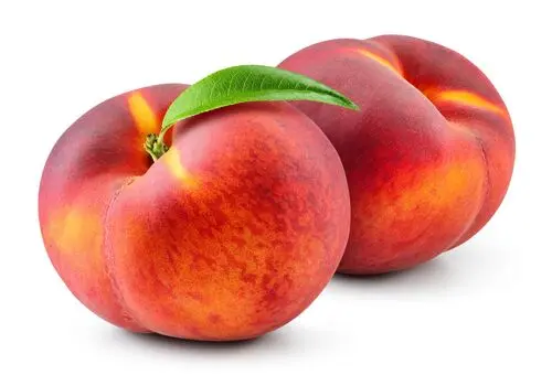 این کوه عجیب و باستانی تخم می گذارد+ تصاویر