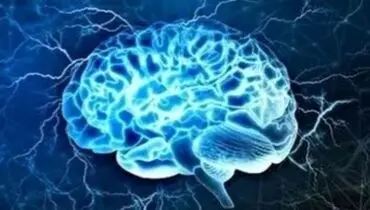 ماده ای شگفت انگیز برای کاهش خطر زوال عقل