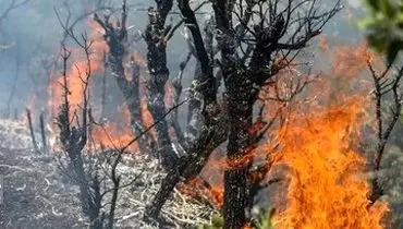 اعزام هواپیماهای اطفای حریق از ترکیه برای مهار آتش جنگل الیت