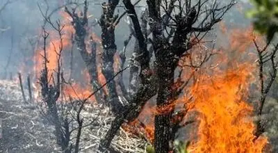 اعزام هواپیماهای اطفای حریق از ترکیه برای مهار آتش جنگل الیت