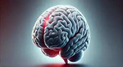 این خوراکی ها مغز را نجات می‌دهند 