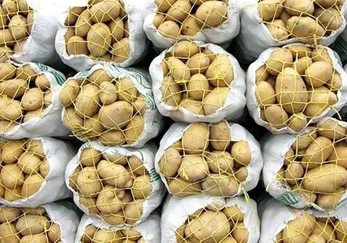 خوردن سیب زمینی جوانه زده خطرناک است؟