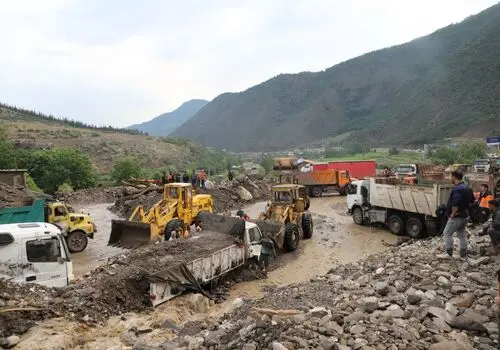 برف زمستانی بر پیکر تک درخت جاده فیروزکوه + فیلم