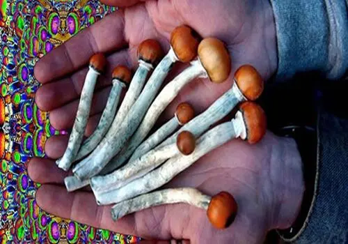 واکنش شهرداری منطقه 3 به انتشار فیلم داروخانه بیماران خاص در تهران