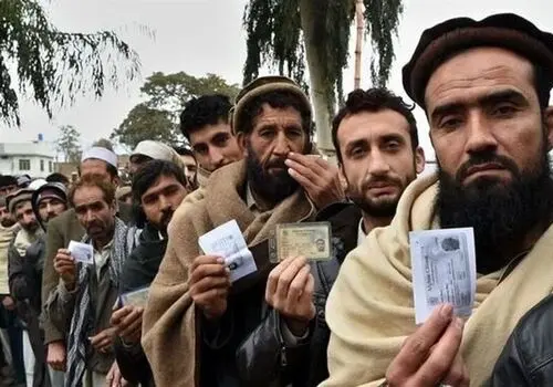چگونه آلبالو به بهبود خواب و کاهش التهاب کمک می‌کند؟