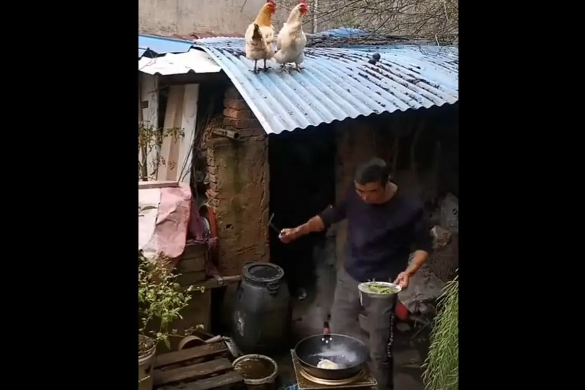 صحنه عجیب از تخم انداختن مرغ داخل ماهی تابه!+ فیلم