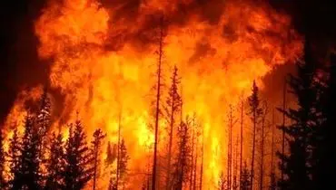 بالگردها به کمک جنگل‌های مرزن‌آباد آمدند؛ اطفای حریق در الیت+فیلم