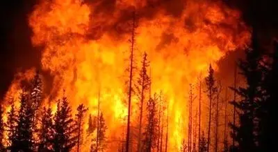 بالگردها به کمک جنگل‌های مرزن‌آباد آمدند؛ اطفای حریق در الیت+فیلم