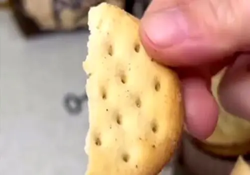 کنسرو بیسکویت در جنگ!
